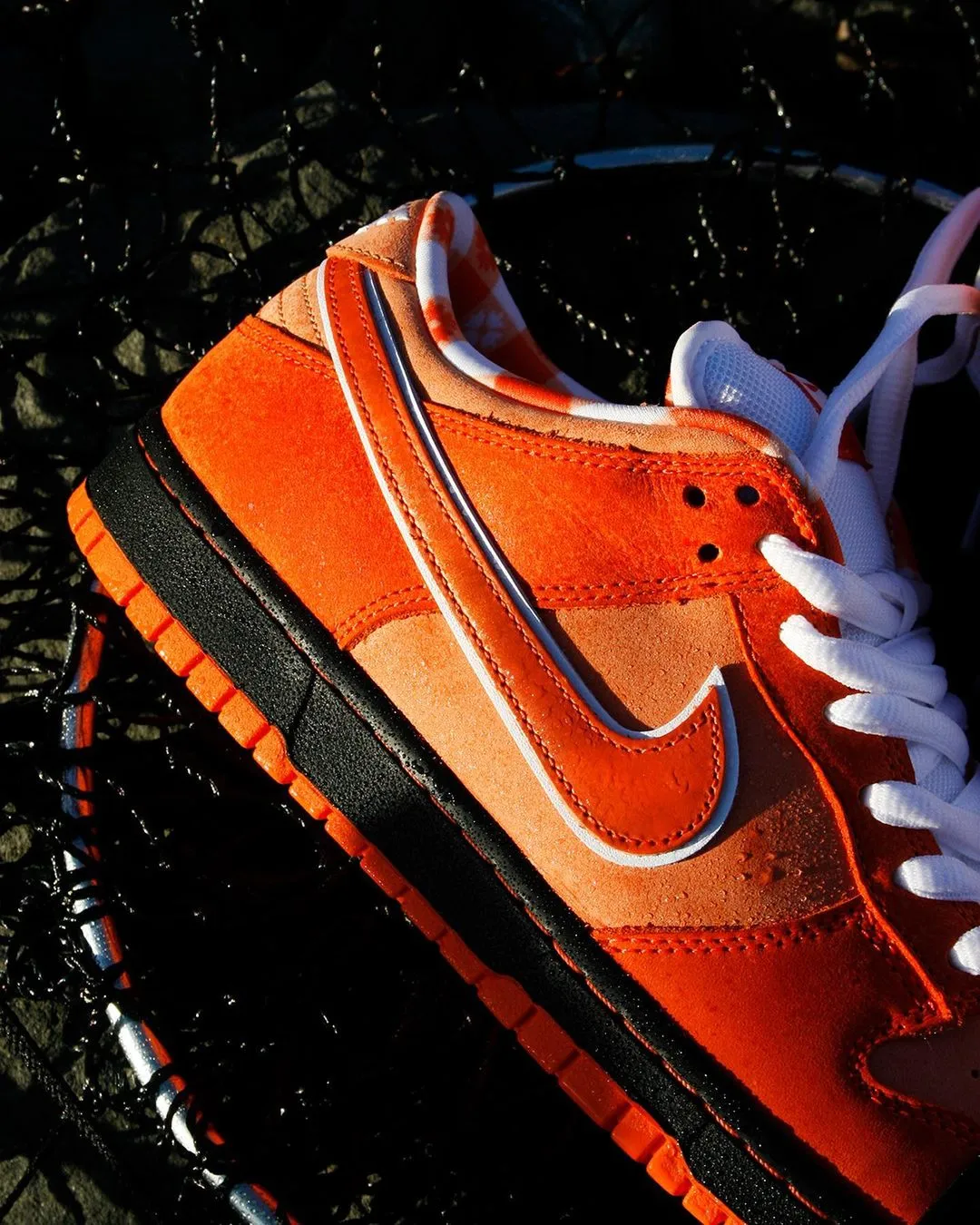 Concepts × Nike SB Dunk Low SP オレンジロブスター スニーカー | red ...